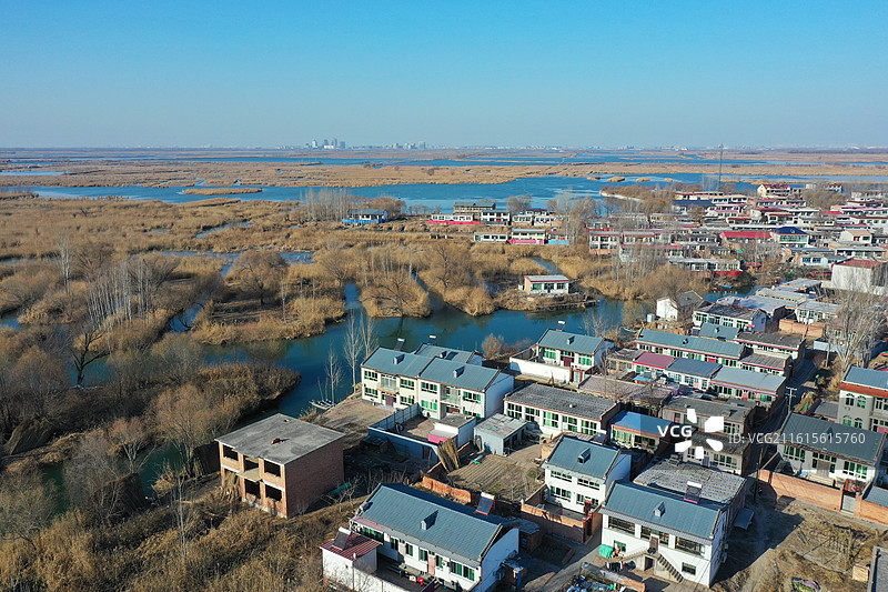 碧水连天映霞光，野鸭掠舞芦花黄  俯身临岸观舟远，银杏红叶风里扬  千岛万湖织洋淀，生态画卷韵悠长图片素材