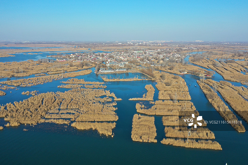 碧水连天映霞光，野鸭掠舞芦花黄  俯身临岸观舟远，银杏红叶风里扬  千岛万湖织洋淀，生态画卷韵悠长图片素材
