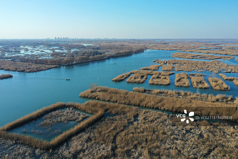 碧水连天映霞光，野鸭掠舞芦花黄  俯身临岸观舟远，银杏红叶风里扬  千岛万湖织洋淀，生态画卷韵悠长图片素材