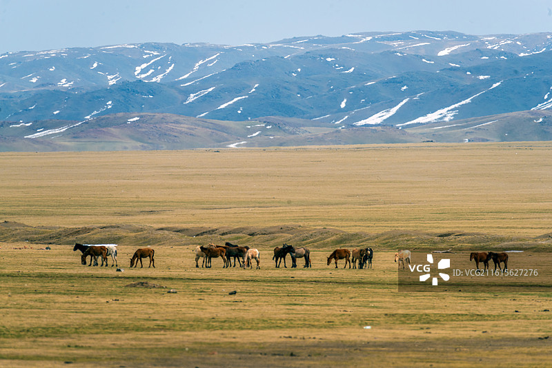 托里县风光7图片素材