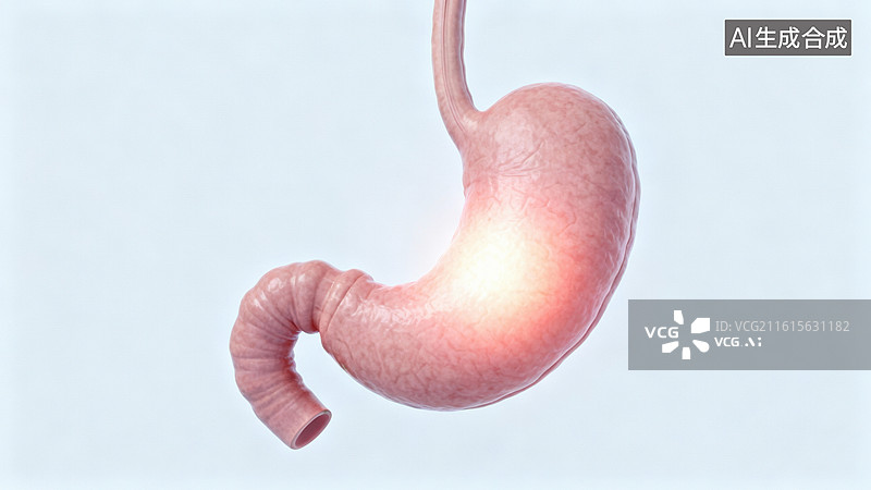 【AI数字艺术】人体胃部解剖结构示意图图片素材