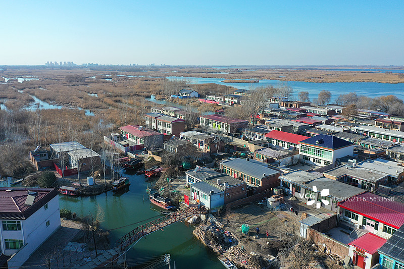 碧水连天映霞光，野鸭掠舞芦花黄  俯身临岸观舟远，银杏红叶风里扬  千岛万湖织洋淀，生态画卷韵悠长图片素材