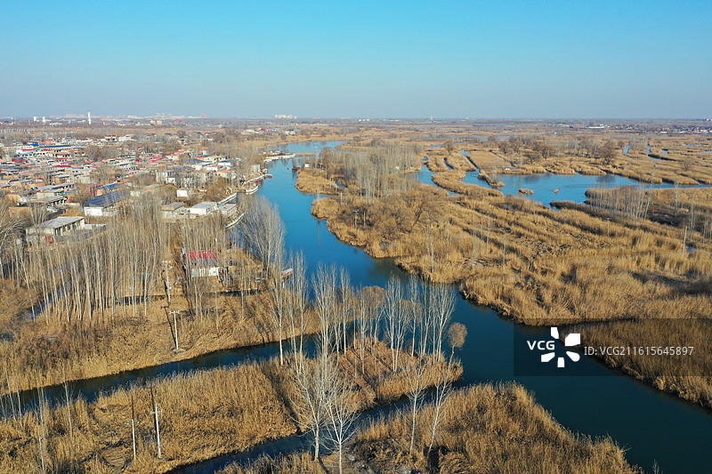 碧水连天映霞光，野鸭掠舞芦花黄  俯身临岸观舟远，银杏红叶风里扬  千岛万湖织洋淀，生态画卷韵悠长图片素材