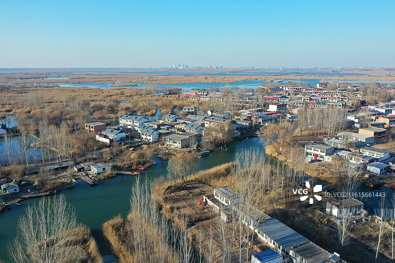 碧水连天映霞光，野鸭掠舞芦花黄  俯身临岸观舟远，银杏红叶风里扬  千岛万湖织洋淀，生态画卷韵悠长图片素材