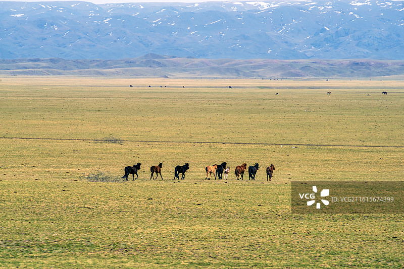 托里县风光11图片素材