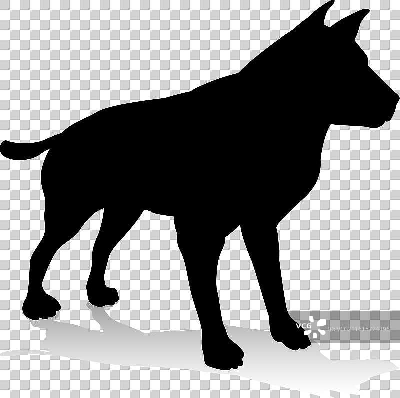 狗 宠物 动物 剪影图片素材