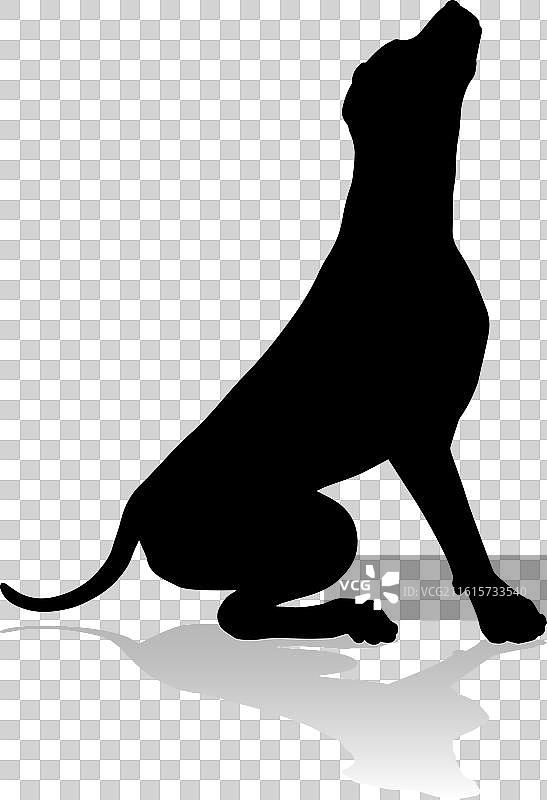 狗的剪影，宠物，动物图片素材