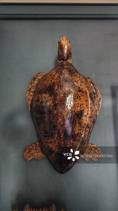 神户北野异人街是充满异国风情的历史街区，留存着众多西洋风格异人馆，是神户著名观光地图片素材