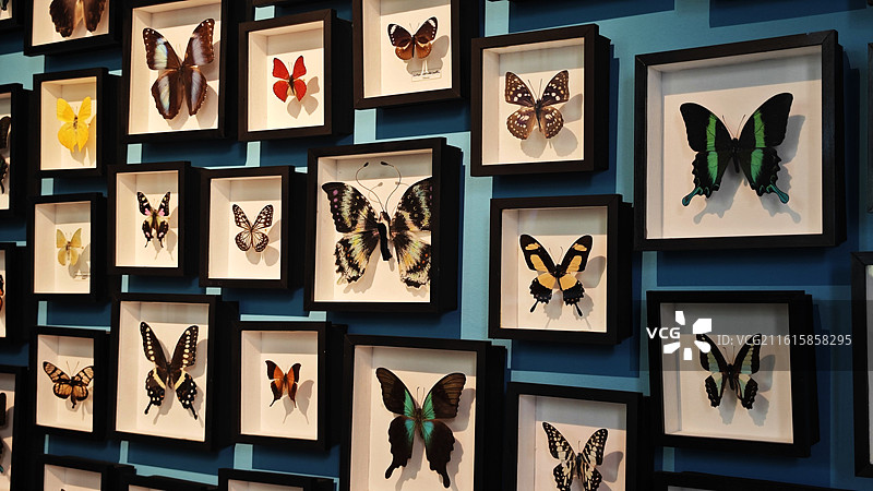 神户北野异人街是充满异国风情的历史街区，留存着众多西洋风格异人馆，是神户著名观光地图片素材