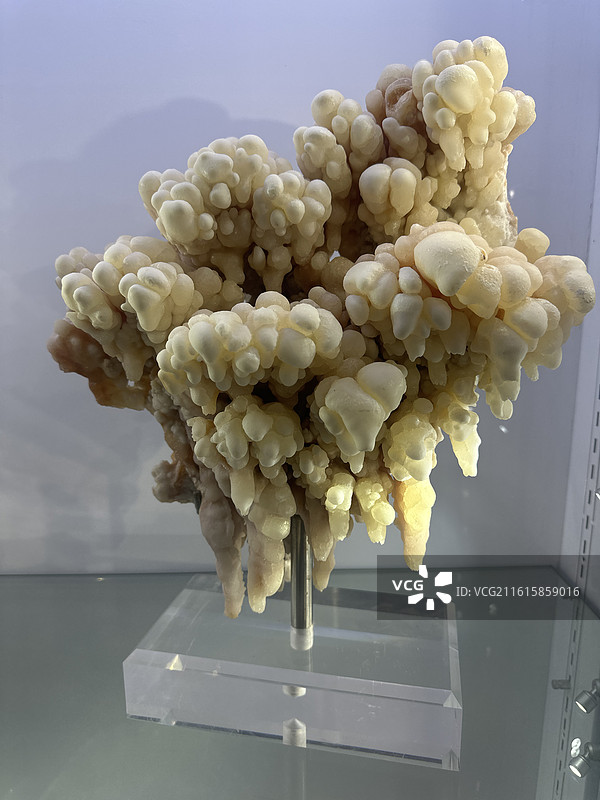 郴州博物馆 钟乳石葡萄状矿物标本图片素材