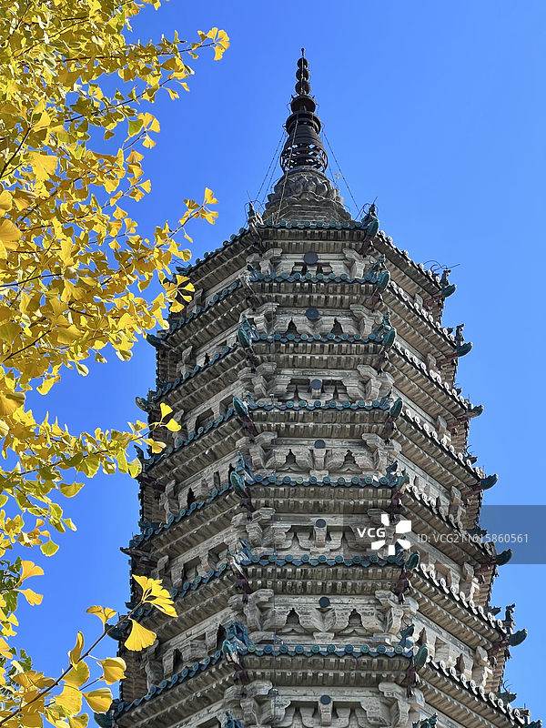 河北石家庄正定古城临济寺金黄的银杏树与澄灵塔金秋风光图片素材