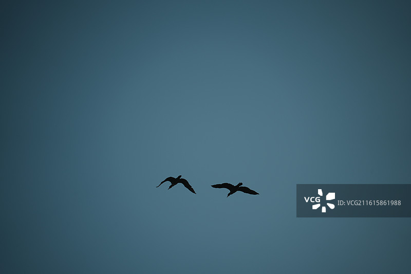 马銮湾生态三岛公园图片素材