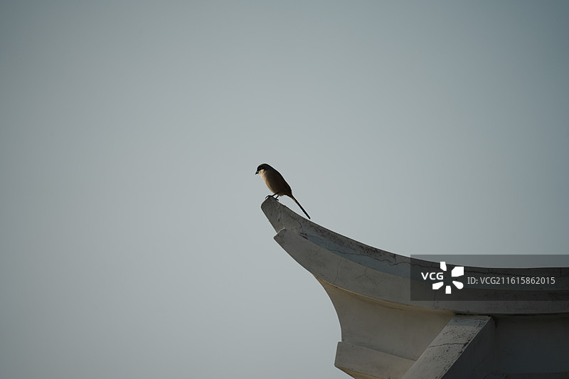 马銮湾生态三岛公园图片素材