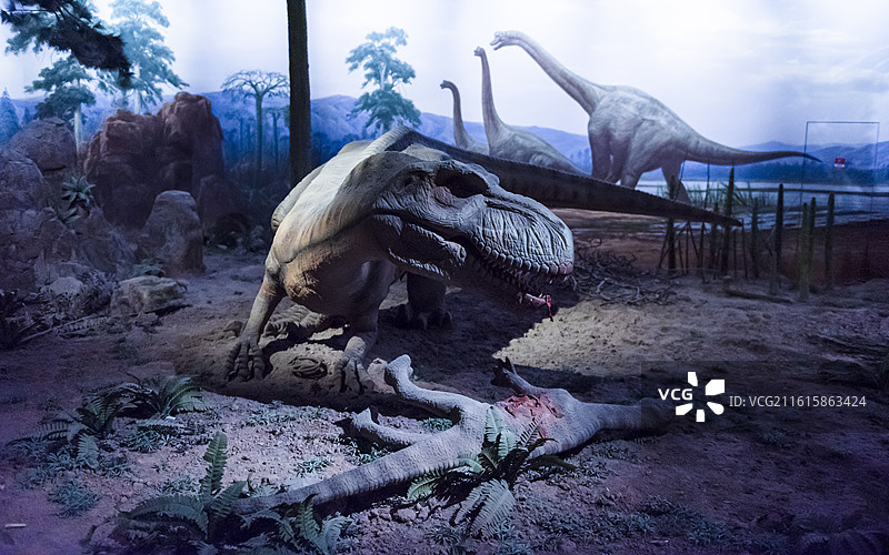 跃龙 山西省大同市博物馆图片素材