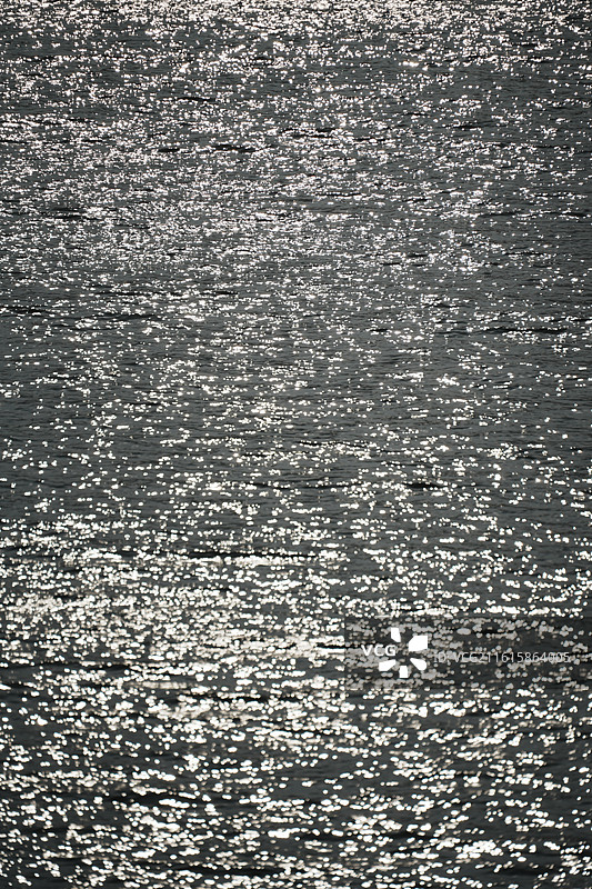 马銮湾生态三岛公园图片素材