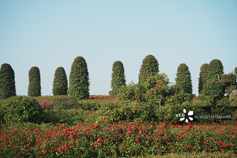 马銮湾生态三岛公园图片素材