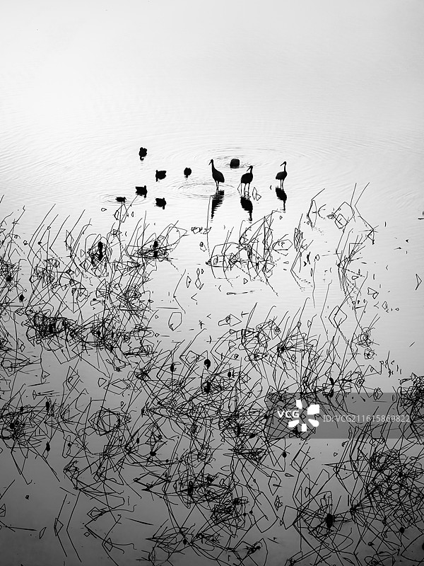 江西永修吴城候鸟小镇优美风光图片素材