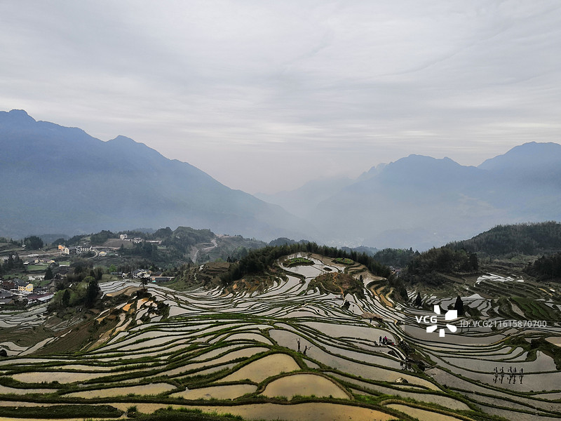 俯瞰丽水云和梯田春季水田全景图片素材