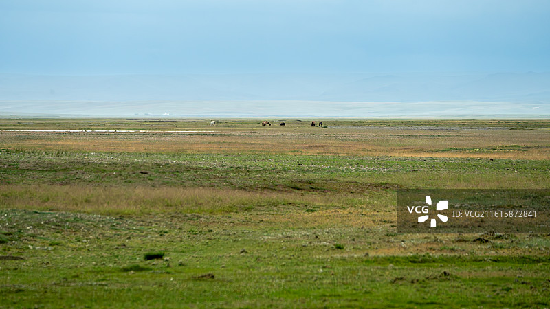 青藏高原上的高山、湖泊、草地、戈壁景象图片素材