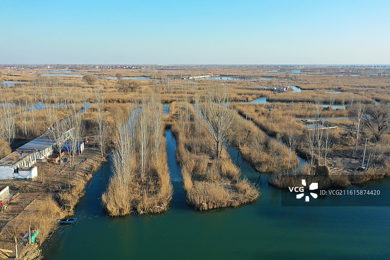 碧水连天映霞光，野鸭掠舞芦花黄  俯身临岸观舟远，银杏红叶风里扬  千岛万湖织洋淀，生态画卷韵悠长图片素材