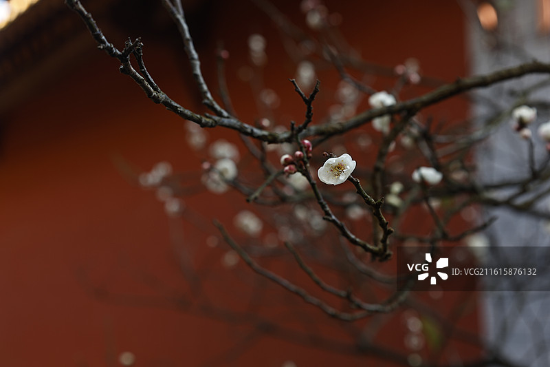 华亭寺图片素材