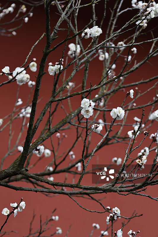 华亭寺图片素材