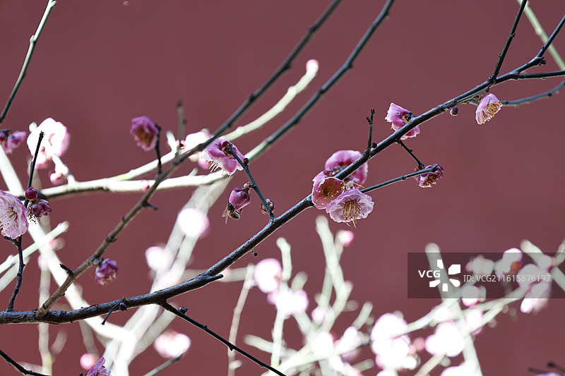 华亭寺图片素材