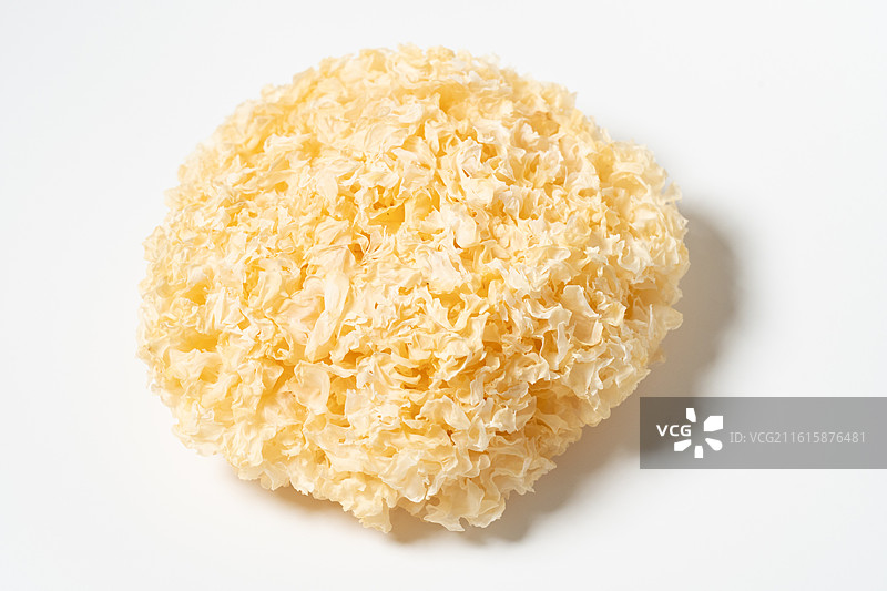 福建古田银耳 特写 农产品 特产图片素材