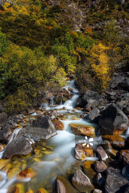 甘孜州乡城县查呈沟秋景图片素材