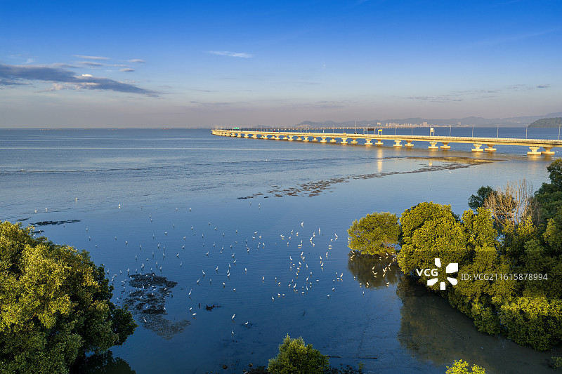马来西亚槟城第二跨海大桥与白鹭风景航拍图片素材