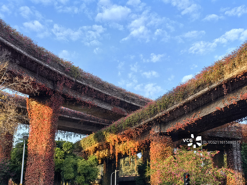 大福州的冬天图片素材