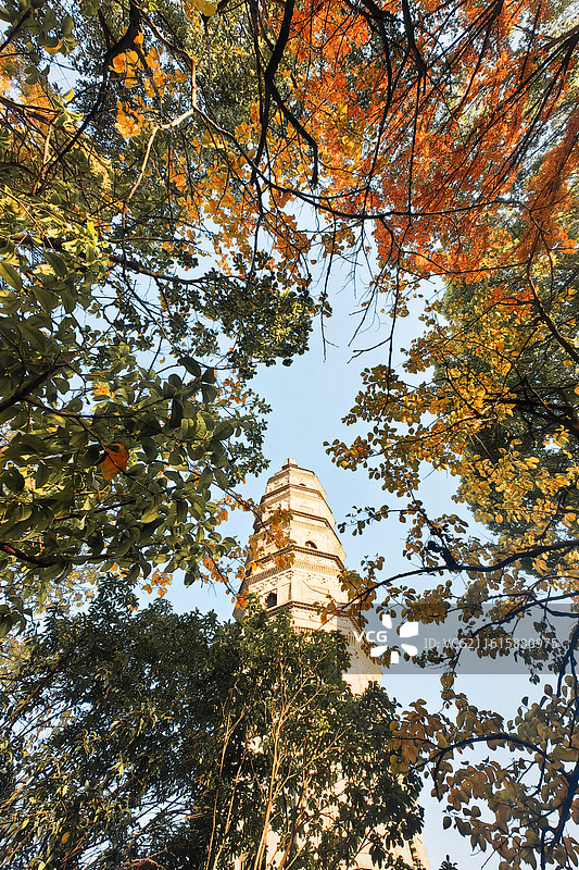 江阴兴国寺塔图片素材