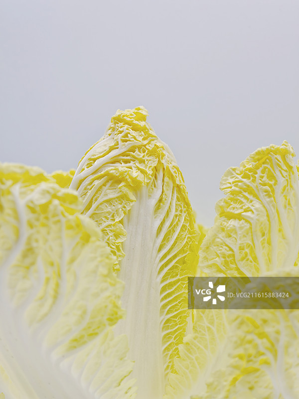 一颗白菜，生菜，娃娃菜，甘蓝，白菜心，白菜叶子的微距特写，蔬菜，绿叶菜，囤白菜过冬，白菜横截面特写图片素材