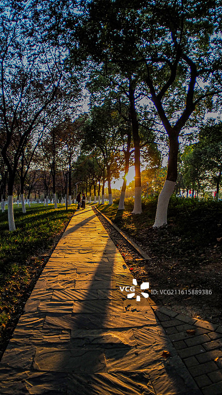 合肥天鹅湖公园图片素材