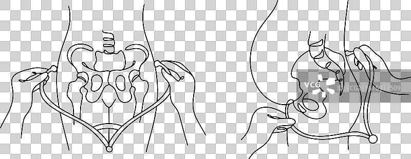 骨盆测量学图片素材