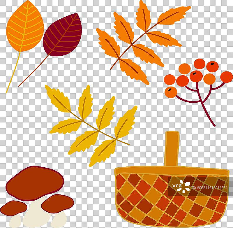 秋天的彩色落叶、蘑菇和浆果图片素材