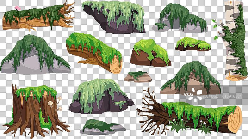 树桩和长在苔藓树干上的木头图片素材