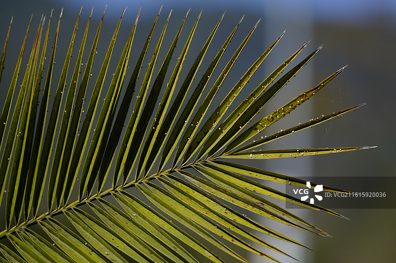 云南小景图片素材