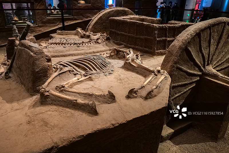 殷商时期马车 商代 河南安阳殷墟遗址 中国历史研究院考古研究所发掘 中国考古博物馆（中国历史研究院）图片素材