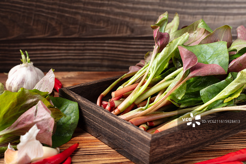 新鲜鱼腥草图片素材