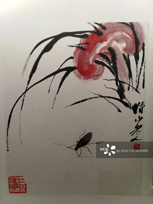 苏州博物馆图片素材