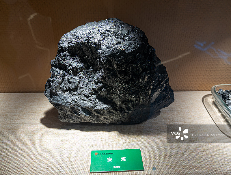 瘦煤  黑龙江流域博物馆图片素材