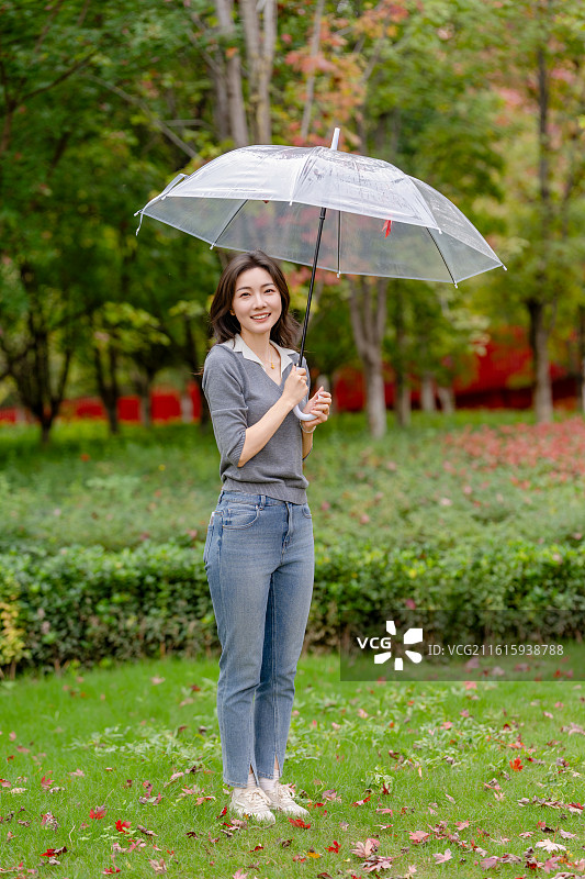 幸福林带的秋色图片素材