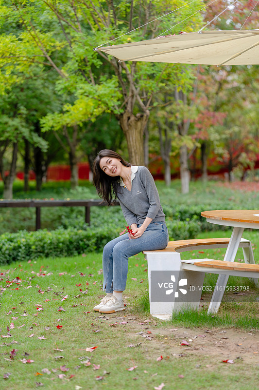 幸福林带的秋色图片素材