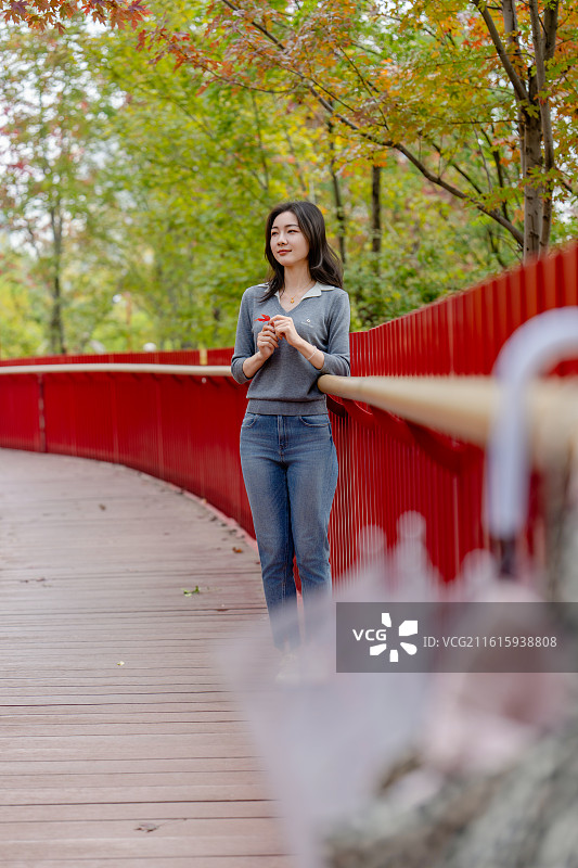幸福林带的秋色图片素材
