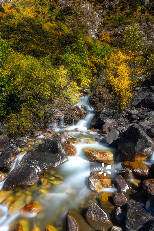 甘孜州乡城县查呈沟秋景图片素材