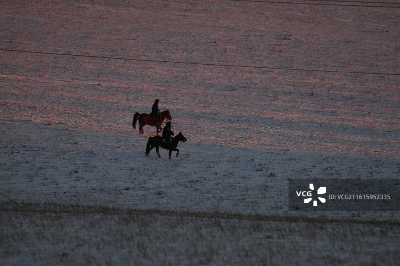 雪地 夕阳 奔跑 骏马 远景图片素材