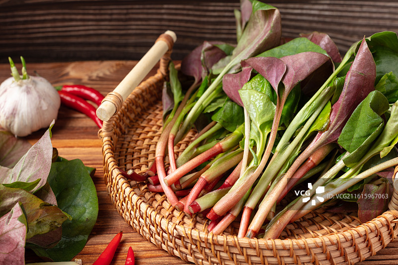 新鲜鱼腥草图片素材