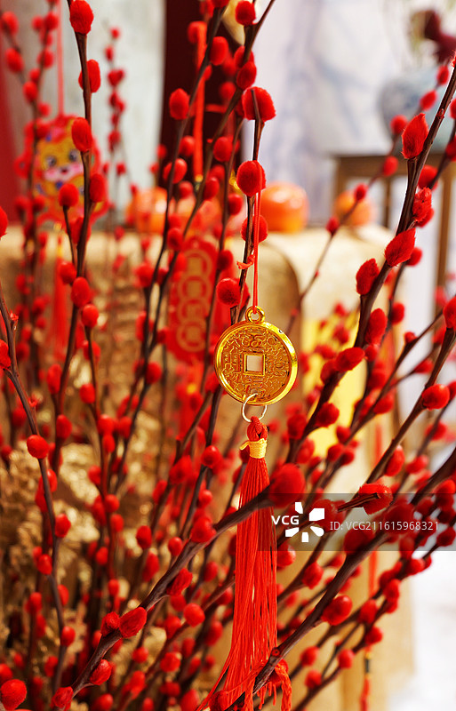 室内红色腊梅花枝上悬挂的金色铜钱节日装饰图片素材