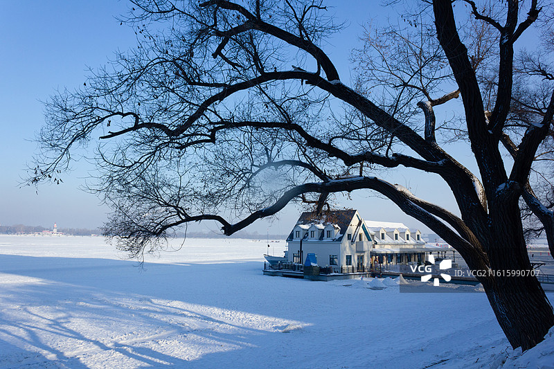 中国黑龙江哈尔滨斯大林公园松花江冬天冰雪风景图片素材